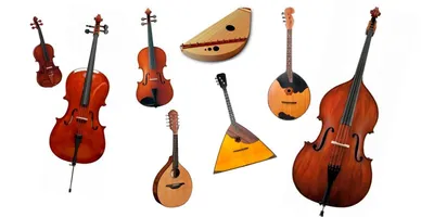 Музыкальных инструментов