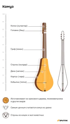 Музыкальные инструменты Азии - карточки Монтессори купить и скачать