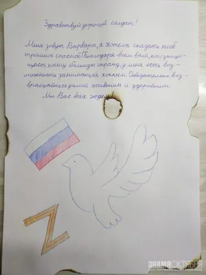 Мы ждем вас дома, герои, с праздником!»: открытки от томских детей отвезут  бойцам СВО на передовую - KP.RU