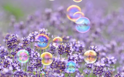 Скачать обои лето, пузырьки, детство, фон, обои, настроения, мыльные пузыри,  день, раздел настроения в разрешении 2560x1440