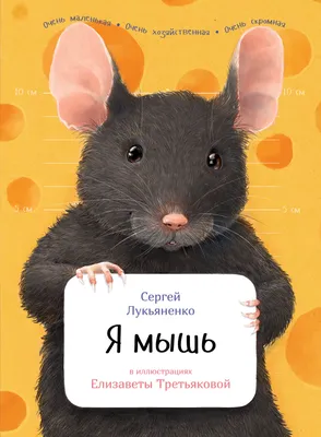 К чему снится мышь — сонник: мышь во сне | 7Дней.ру