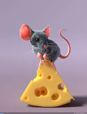 Мышь и сыр — Компьютерная графика и анимация — Render.ru | Pet mice, Cute  rats, Cute animals