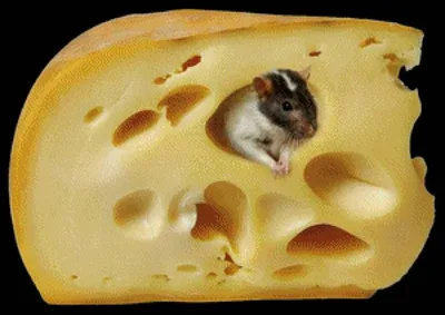 Купить форма пластиковая мышка с сыром в оптово-розничном магазине города  Владимир