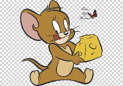Джерри Маус Том Кот Том и Джерри Мульт, мышка, комиксы, млекопитающее,  кошка png | Klipartz