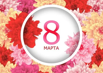 Как выбрать цветы на 8 Марта? | Пикабу