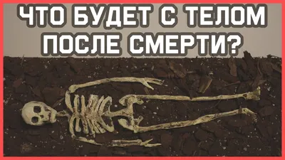 На 9 дней после смерти Жириновского политики пришли на Новодевичье кладбище  - МК