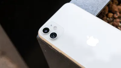The 7 Best iPhone 11 Cases of 2024 | GearLab
