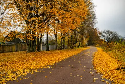 Осень в Ижевске: 20 атмосферных фото - KP.RU