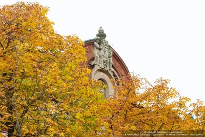 Осенняя природа, пейзаж стоковое изображение. изображение насчитывающей  город - 43444433