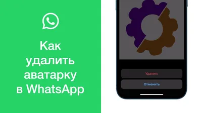 Как сделать свой аватар в Ватсапе и стикеры со своим лицом | AppleInsider.ru