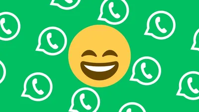 Вместо лица: в WhatsApp разрешат использовать аватары для видеозвонков —  Ferra.ru