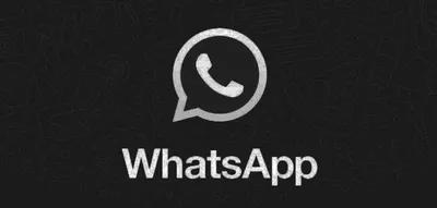 В WhatsApp «оживут» аватары: как это выглядит - Hi-Tech Mail.ru