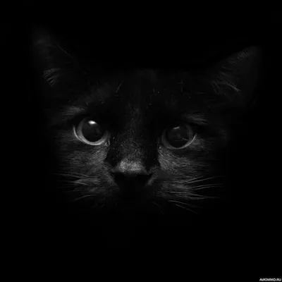 Крутые чёрные обои - 64 фото