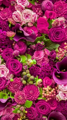 Fake story | Rose flower photos, Flowers photography, Luxury flowers