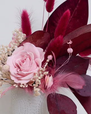 Цветы, #Тюльпаны, #аватары, #картинки, #фото, #авы,  https://avatarko.ru/kartinka/6092 | Тюльпаны, Красивые цветы, Цветы