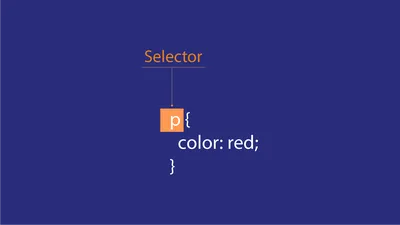 Basic CSS: CSS Selectors