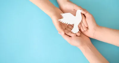 Міжнародний День Миру - Школа 269 🇺🇦