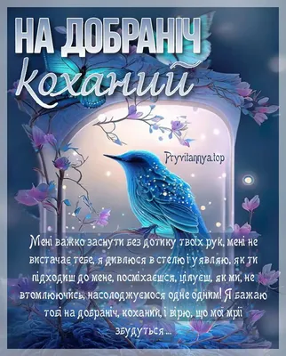 ДОБРОЇ НОЧІ ВАМ! Засинайте щасливі. Прокидайтесь з посмішкою. - Просвіта |  Memes, Movie posters, Poster