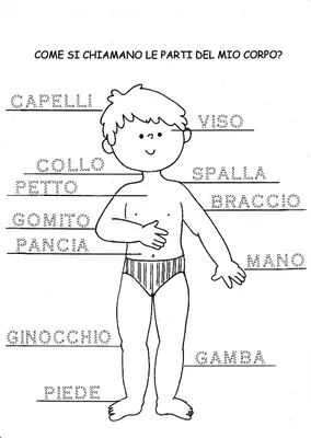 vera_scuola_italiana - Глагол Andare в итальянском языке, один из самых  популярных. Он переводится ехать и идти. И самое главное, что даже если вы  идете в аптеку, например, в 5 метрах от вашего