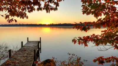 Обои осень, деревья, ветки, озеро, дом, Япония картинки на рабочий стол,  раздел природа - скачать | Озеро, Обои, Природа