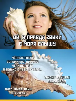 Коржики на море, Дмитрий Юрьевич Суслин – скачать книгу fb2, epub, pdf на  ЛитРес