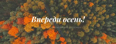 Бесплатные шаблоны осенних обложек для Фейсбук | Скачать макеты и дизайн  для обложек на тему осень в Facebook онлайн | Canva