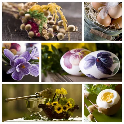 Фотографии на Пасхальную тему (пасхальные яйца, пасхальный кролик, цветы,  верба) с высоким разрешением — Abali.ru