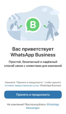 Как перенести WhatsApp на другой смартфон: инструкция для iPhone и  Android-гаджетов. Cтатьи, тесты, обзоры