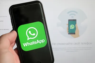 Бизнес-аккаунт в WhatsApp: что это и как с его помощью увеличить количество  клиентов?