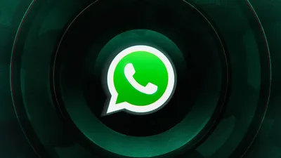 WhatsApp Business: как быть ближе к клиентам и повысить открываемость  сообщений до 90%
