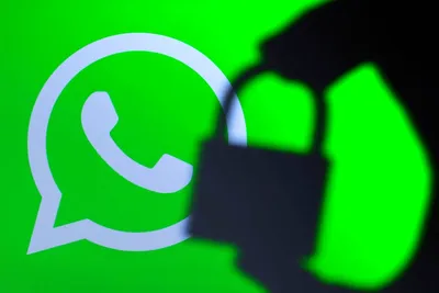 Настройки конфиденциальности и родительский контроль WhatsApp | Интернет  имеет значение