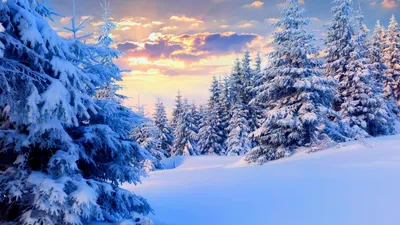Обои Природа Зима, обои для рабочего стола, фотографии природа, зима, дом,  снег Обои для рабочего стола, скачать обои картинки заставки на рабочий стол .