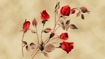Розы на сером фоне арт - 35 фото