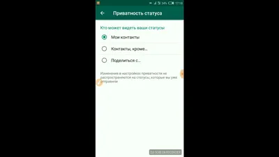 WhatsApp убеждает пользователей в безопасности с помощью «статусов» -  Газета.Ru