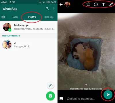 WhatsApp прокачал статусы. Теперь это полноценные сторис