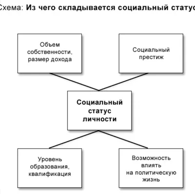 Определите свой социальный статус — Новости Шымкента