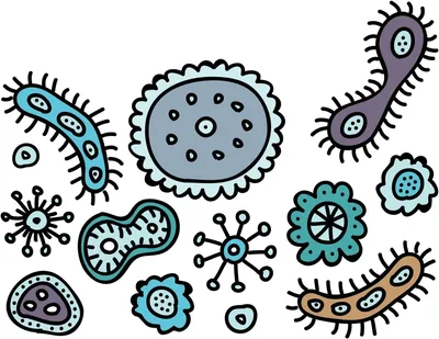 Рисунок на тему бактерии - 32 фото