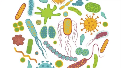 Рисунок на тему бактерии - 32 фото