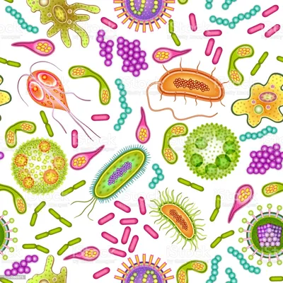 Бактерии И Вирусы Мультяшных Персонажей Дизайн Вектор — стоковая векторная  графика и другие изображения на тему Бактерия - iStock