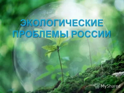 Экологические проблемы» - ppt download