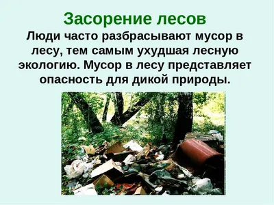 Презентация по биологии на тему: \"Экологические проблемы гидросферы\".
