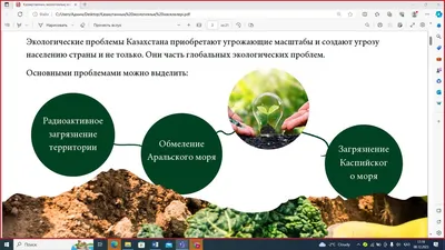 Презентация на тему \"Экологические проблемы РБ\"