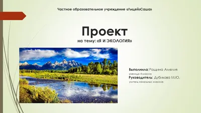 Воспитательный час по экологическому воспитанию на тему “Экология и мы” –  ГБПОУ \"Шахтёрский колледж кино и телевидения имени А.А.Ханжонкова\"