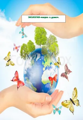 всемирный день окружающей среды. баннер на тему экологии и заботы о  природе. планета Иллюстрация вектора - иллюстрации насчитывающей  внимательность, озон: 218129879