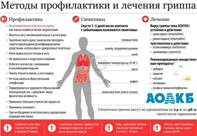 Профилактика гриппа и ОРВИ реферат 2010 по медицине | Сочинения Медицина |  Docsity