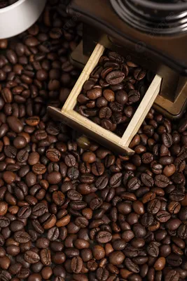Продолжаем изучать тему кофе. Сегодня всё о заваривание молотого кофе. |  EdaMore.com - Простые рецепты и обзоры | Дзен