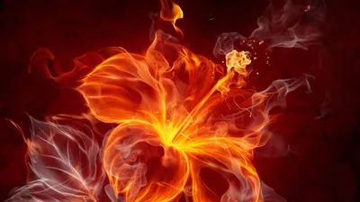 Огонь Collection — стоковая векторная графика и другие изображения на тему  Пламя - Пламя, Огонь, Векторная графика - iStock