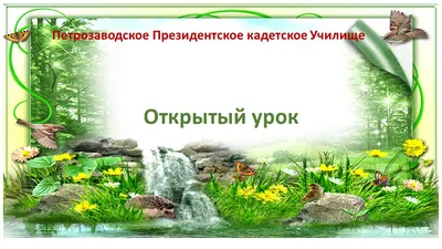 МАДОУ д/с № 146 города Тюмени | Новости