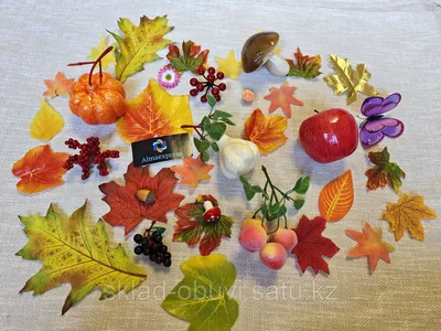 Осень - время вдохновения😻🍁🍂 Несколько поделок Вам для вдохновения🤗  ведь скоро мы объявим творческий конкурс на тему Осень. | Instagram