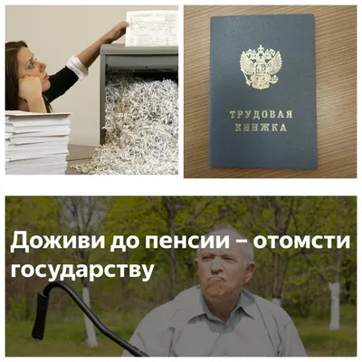 Следите за тем, как формируется ваша пенсия - Лента новостей ДНР